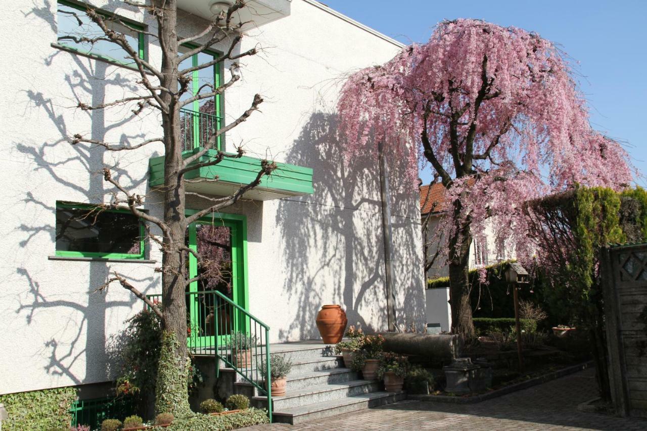 Albergo Nardini Lentate sul Seveso Exterior foto